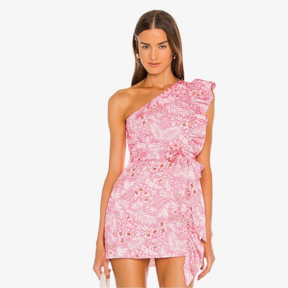 Lovers and Friends Seana Mini Dress In Sienna tropical